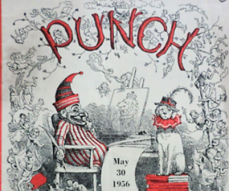 Punch Cover